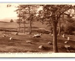 Gorsedd Stones Treorchy Glamorgan Cardiff Wales DB Postcard P28 - £3.88 GBP