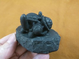 (SH-TUR-1) Turtle family figurine black Shungite stone hand carving turtles bale - £25.50 GBP