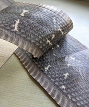 A Lot of Two  Pieces Corba Snake Skins Snakeskins Waxed Natural Gray - £13.29 GBP