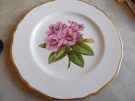 Spode Rhododendron Bone China Batemani Y6638 - $24.49