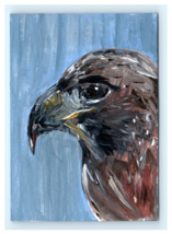 ACEO Original Art Acrylic Bird Portrait Painting - $7.02 CAD