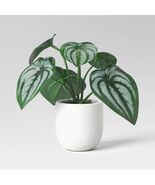 Threshold Mini Tabletop Peperomia Artificial Plant 5.5" White Green - €13,80 EUR Threshold Mini Tabletop Peperomia Artificial Plant 5.5" White Green - €13,80 EUR