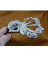 octo-w40 large Octopus of shed ANTLER figurine Bali detailed I love octopi - $653.88 CAD