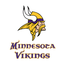 NFL Minnesota Vikings Football Embroidered Hooded Sweatshirt S-5XL, LT-4XLT New - £28.76 GBP+
