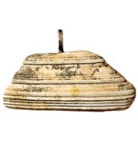 Vintage Maine Clam Sea Shell Necklace Pendant Handmade Nautical Jewelry E8A - $27.32 CAD