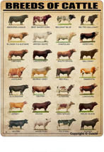 Breeds of Cattle Metal Tin Sign Wall Plaque Poster for Restaurant Market Farm Ra - £11.32 GBP