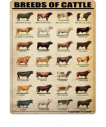 Breeds of Cattle Metal Tin Sign Wall Plaque Poster for Restaurant Market... - £11.11 GBP