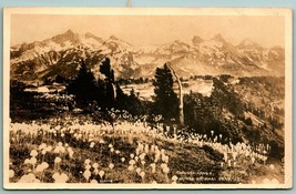 RPPC Tatoosh Range Mount Rainier National Park Washington WA 1917 DB Postcard H3 - £7.79 GBP