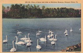 Newport News Virginia VA Swan Lake at Mariners Museum Postcard C08 - £2.33 GBP