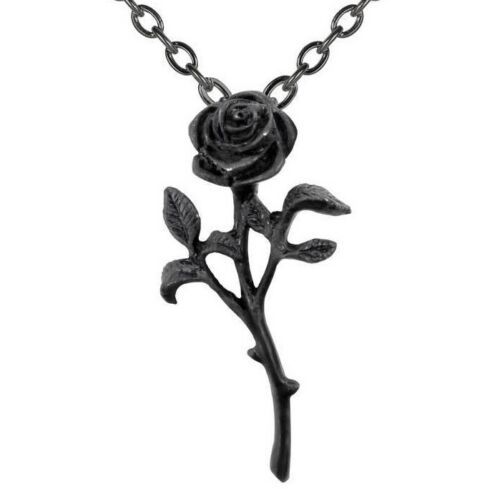 Alchemy Gothic Romance of the Black Rose Pendant Black Chain Necklace P695 - £14.08 GBP