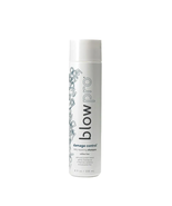 BlowPro Damage Control Daily Repairing Shampoo - $29.00+