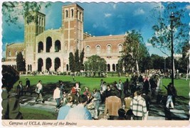 Postcard Campus Of UCLA Home Of The Bruins University Of California Royce Hall - $4.94