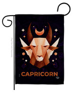 Capricorn Garden Flag Zodiac 13 X18.5 Double-Sided House Banner - $19.97