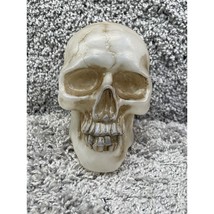 Rare Vintage Realistic Halloween Skull Head Prop Spooky Creepy Electronic - $28.42