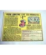 1969 Color Ad Grow Amazing Live Sea Monkeys, Sales Unlimited, NY, NY - $7.99