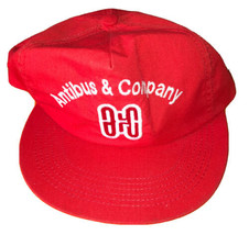 Antibus &amp; Company Vintage Promo Snap Back Hat Midwest Embroidery South B... - €4,26 EUR