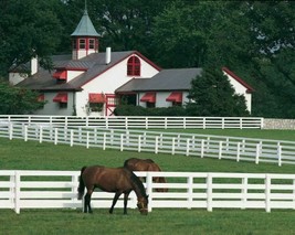 Vtg Kentucky Leisure Guide Ky Horse Park Pin Book Bardstown Autumn Harvest Charm - £42.56 GBP