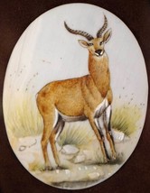 Cute Miniature Painting of a Gazelle On Oval wafer Framed Very Good Details - £40.05 GBP