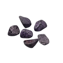 Set 6 Dalmatian Jasper Tumble Stones - Jasper Dalmation Purple - £4.43 GBP