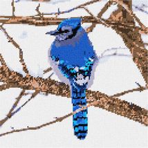 Pepita Needlepoint Canvas: Bluejay in The Snow, 10&quot; x 10&quot; - $78.00+