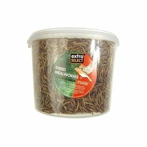Extra Select Mealworms, 500 ml  - €7,01 EUR
