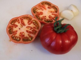 Fresh Garden 30+ Sub Arctic Plenty Tomato Seeds Heirloom Organic NON GMO .. 45 5 - £7.71 GBP