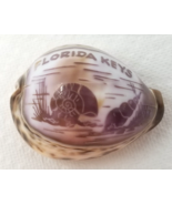 Etched Florida Keys Tiger Shell 1980s Souvenir Vintage - $15.15