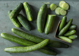 Fresh Seeds 25 Seeds Chelsea Slice Cucumber Planting Easy To Grow Garden - $7.32