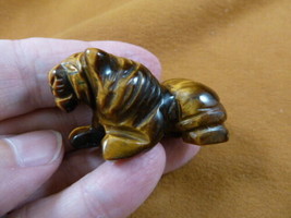 Y-LIO-RO-578) brown Tiger&#39;s Eye ROARING LION gemstone carving figurine l... - £11.16 GBP