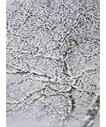 Ukrainian Winter Snow Tree Bird Titmouse Landscape Watercolor Painting O... - £78.18 GBP