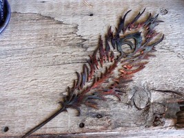 Peacock Feather - Metal Wall Art - Copper -18&quot; x 6&quot; - £22.00 GBP