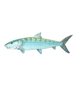 Bonefish Fish High Quality Art Decal Truck Boat Cup Cooler Tacklebox Lap... - €5,99 EUR+