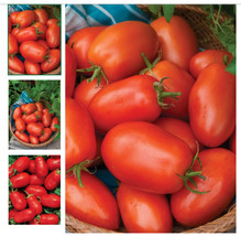 VP Tomato Roma Vegtable 25 Seeds - $4.71