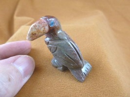(y-bir-to-9) little gray red Toucan tropical bird soapstone carving love... - £6.84 GBP