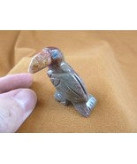 (y-bir-to-9) little gray red Toucan tropical bird soapstone carving love... - $8.59