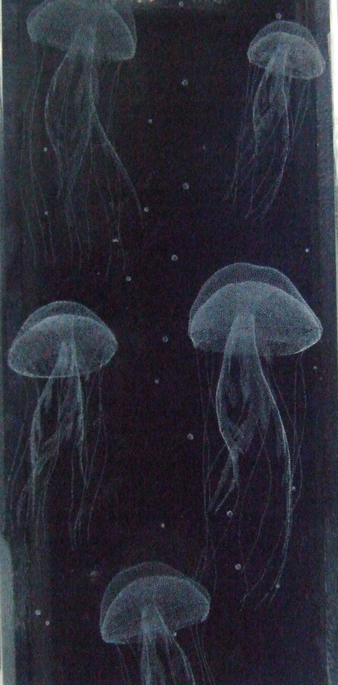 3D laser design of several "Jellyfish" in Lenic Crystal-
show original title
... Item image 4