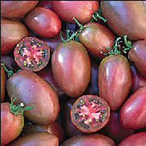 USA Seller Purple Russian Tomato Seeds Fast Shipping - £9.85 GBP