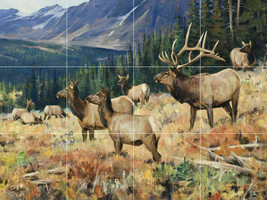 elk moose deer mountain nature wildlife wilderness Ceramic tile mural backsplash - £46.56 GBP+