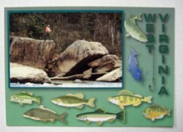 West Virginia Big Fish Postcard - $3.68