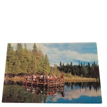 Postcard Kitch-Iti-Ki-Pi Big Springs Riding Raft Manistique MI Chrome Un... - $4.15