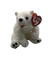 TY Beanie Babie Aurora The Polar Bear 6.5 inches DOB 2/3/2000 - $11.95