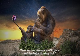 Gorilla Monkey Being Nosy Warning Novelty Poster with Quotation Quality Print - $6.90+