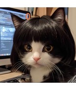 High Quality Luxury Stylish Cool Pet Wigs, Material: Premium Synthetic H... - $37.08 CAD