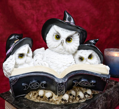 Arctic White Snow Owls With Witch Hats And Triple Moon Magic Spellbook Figurine - £28.46 GBP