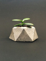 Concrete Succulent Planter - Facet - Silver Highlights - £14.14 GBP