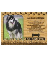 Alaskan Malamute Engraved Wood Picture Frame Magnet - £11.21 GBP