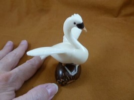 (TNE-BIR-SW-370c) white trumpeter Swan TAGUA NUT palm figurine carving s... - £26.46 GBP