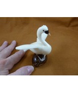 (TNE-BIR-SW-370c) white trumpeter Swan TAGUA NUT palm figurine carving s... - $46.11 CAD