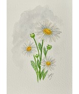 Original Watercolor Painting Of April Birth Month Flower, A Handpainted ... - $45.54