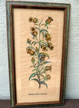 Edizioni Ponte Medium Flore Coeruleo Botanical Floral Print 14X25" Framed - $126.63 CAD